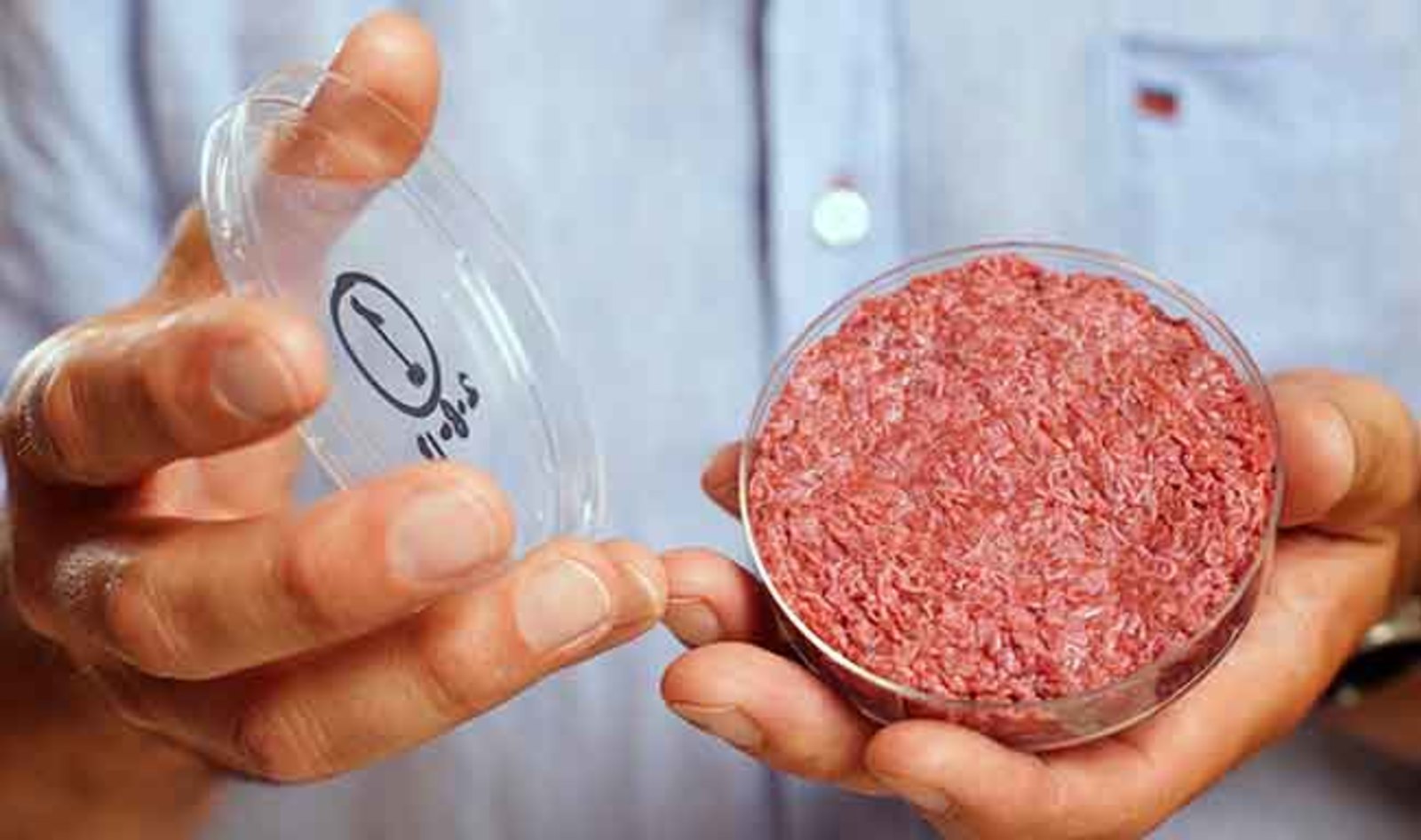 Заменители мяса продолжают оставаться в тренде в Германии